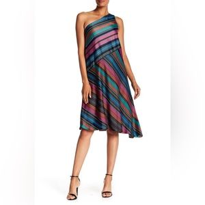 Maggy London Multicolor Stripe One Shoulder Dress